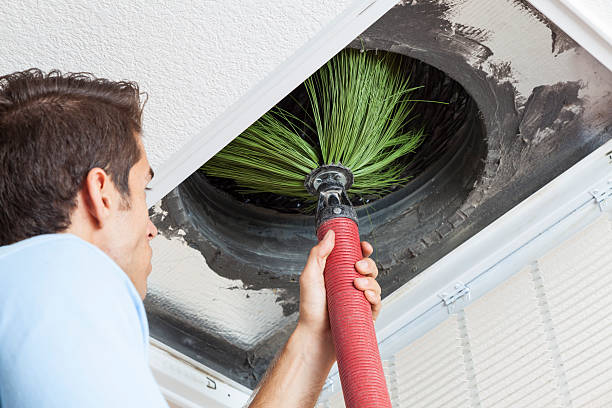 Best Affordable Duct Cleaning Services  in Micco, FL